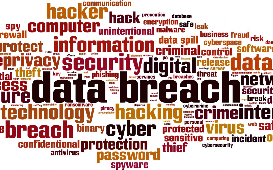 Immediate Steps to Take if Your Small Business Has Suffered a Data Breach