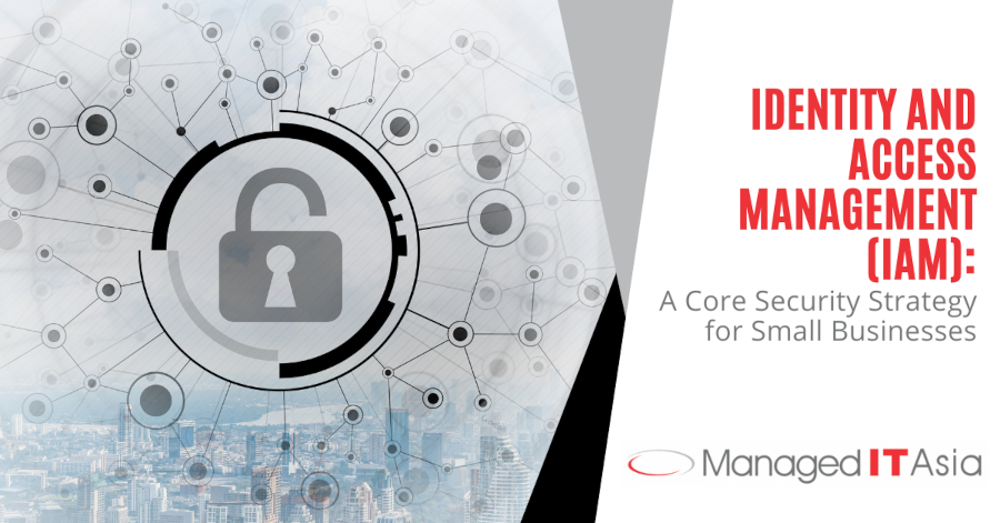 MITA Identity and Access Management (IAM) A Core Security Strategy for Small Businesses